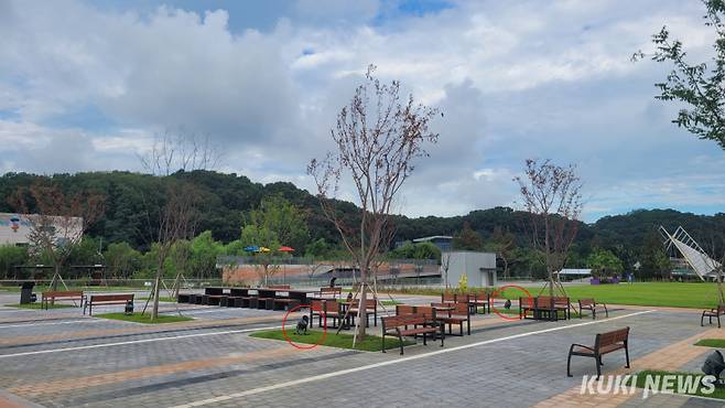 천안삼거리공원 &nbsp;‘어울마당’. 나무 아래 경관조명(원내)이 설치돼 있다.&nbsp; 조한필 기자