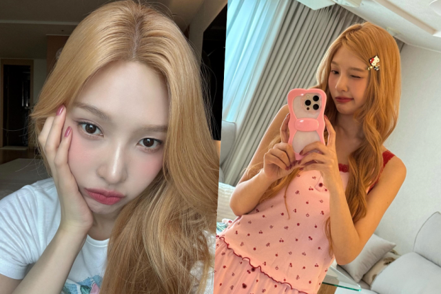 조이 / 소셜미디어