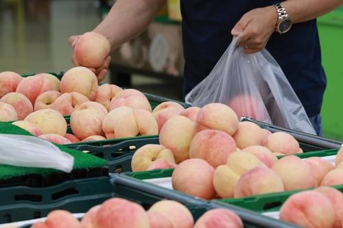 기사와 직접 관계 없음 [연합뉴스 자료 사진]