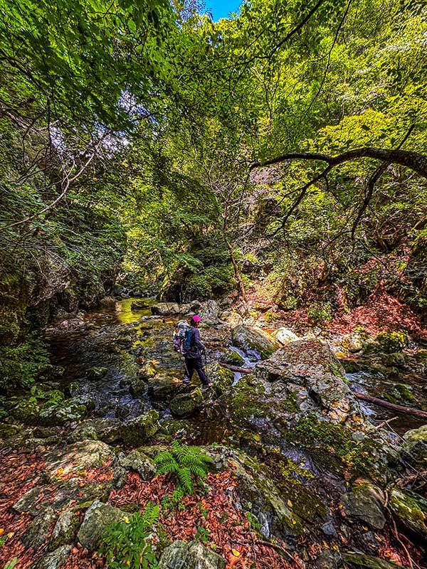 한니동 계곡을 건너고 있는 김혜연씨. 바위마다 이끼가 무성하기 때문에 발을 디딜 때는 주의해야 한다.