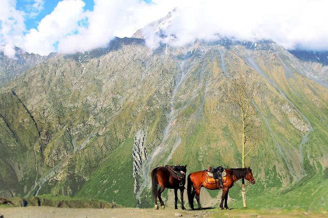 조지아 카즈베기 Kazbegi, Georgia