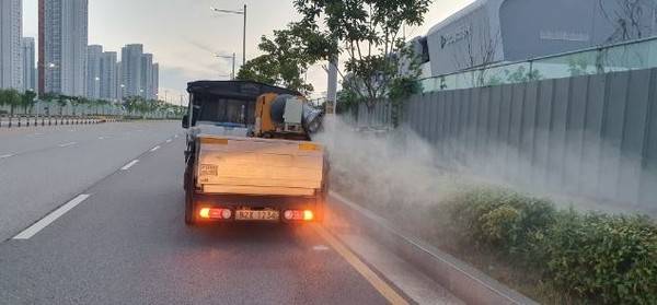 연수구 보건소가 러브버그 방제작업을 하고 있다. 2025.6.30. [사진=연수구보건소]