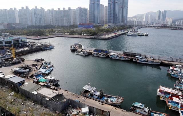 악취 문제가 지속적으로 발생하고 있는 부산 남구 용호만 일대. 부산일보DB