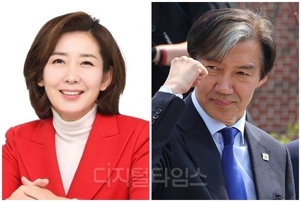 나경원(왼쪽) 국민의힘 의원과 조국 조국혁신당 혁신정책연구원장. [디지털타임스 DB, 연합뉴스]