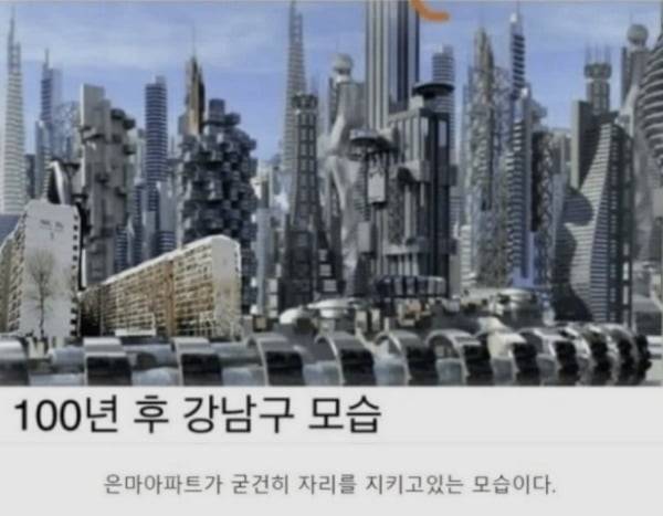재건축 속도가 너무 지지부진한 탓에 온라인 커뮤니티에선 100년 뒤에도 은마는 은마로 남아있을 것이란 모습. 사진=온라인커뮤니티