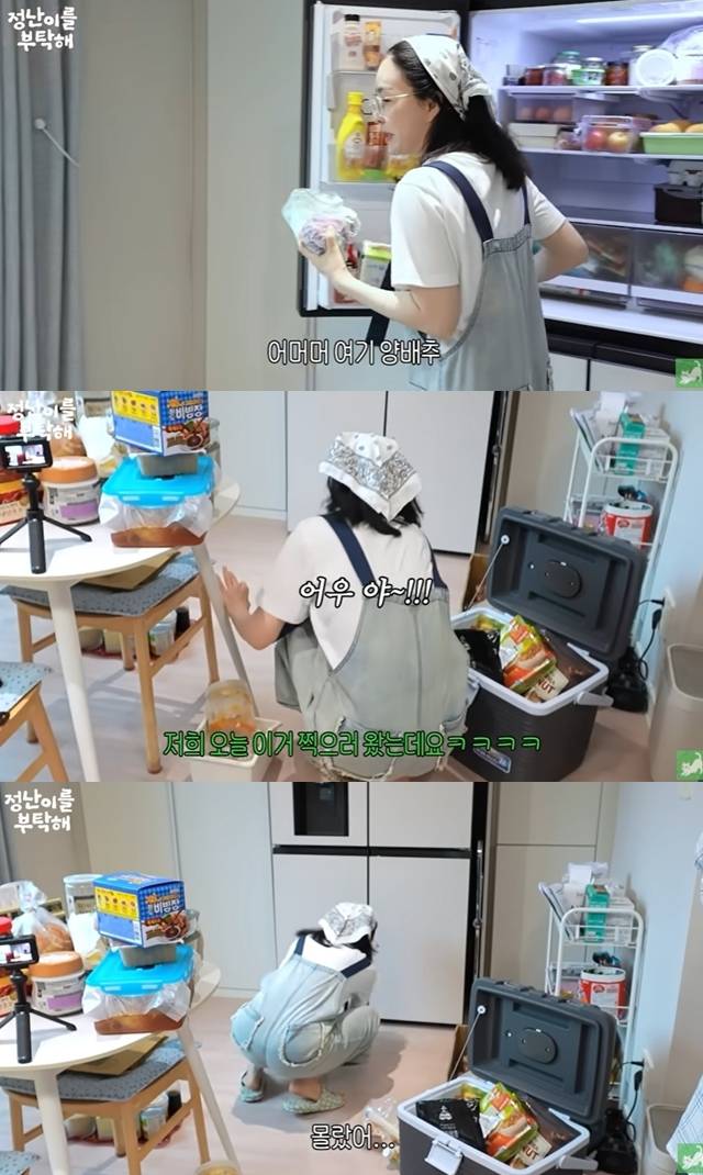 ‘김정난’ 채널 캡처