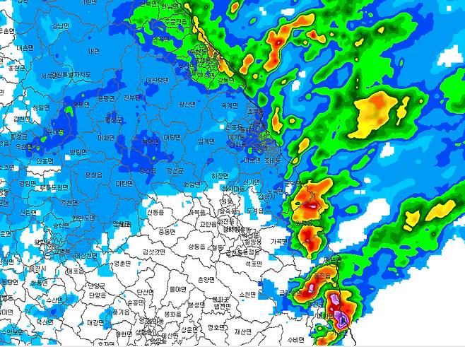 동해안 일대 레이더 사진(4일 11시 50분 기준) [기상청 제공]