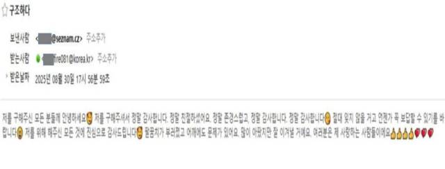 사고 피해자가 보낸 한국어 이메일.소방청 제공
