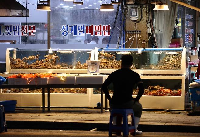 '손님 기다리는 상인'  (포항=연합뉴스) 김현태 기자 = 경북 포항시 죽도시장에서 상인이 손님을 기다리고 있다. 2025.9.4
 mtkht@yna.co.kr
(끝)