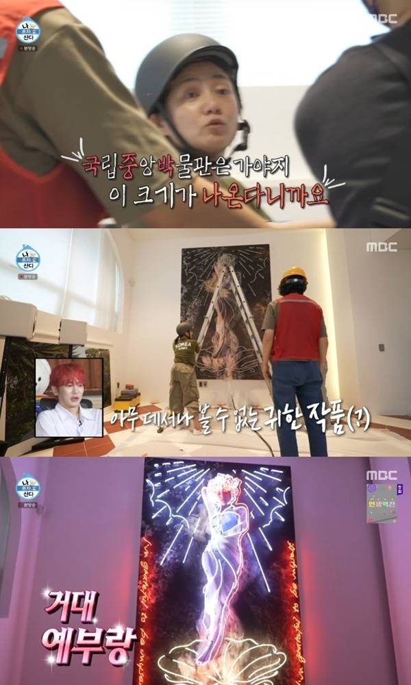 MBC '나 혼자 산다'