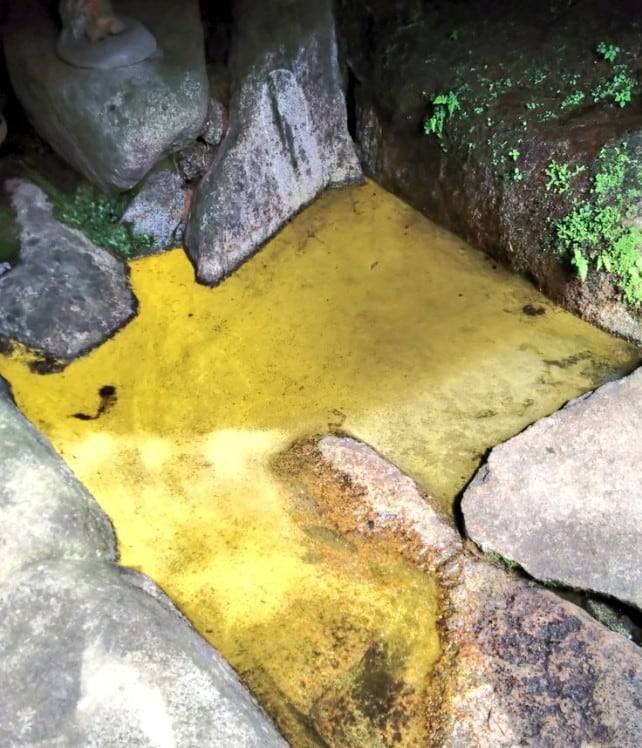 일본 후쿠시마현 모토미야시 사찰 간카쿠지 샘물에 금화수 현상이 나타난 모습/ 엑스