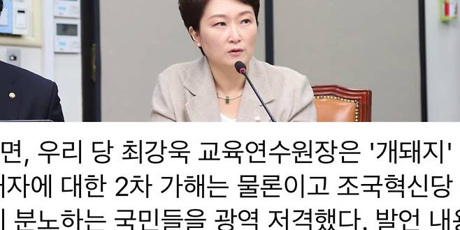 이언주 더불어민주당 최고의원(위), 본인 페이스북 일부 캡처.