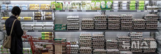 [서울=뉴시스] 정병혁 기자 = 5일 서울시내 한 대형마트에서 소비자들이 계란을 살펴보고 있다. 추석 성수기를 앞두고 고공행진 중인 계란 가격이 더 오를 것이라는 전망이 나왔다. 한국농촌경제연구원(KREI) 농업관측센터가 발간한 농업관측 산란계 9월호에 따르면 이달 계란 산지가격은 특란 10구 기준 1900~1950원으로 전망됐다. 1년 전(1686원)보다 최대 15.7% 오르는 수치다. 2025.09.05. jhope@newsis.com