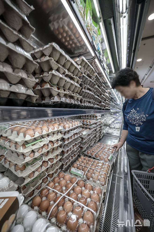 [서울=뉴시스] 정병혁 기자 = 5일 서울시내 한 대형마트에서 소비자들이 계란을 살펴보고 있다. 추석 성수기를 앞두고 고공행진 중인 계란 가격이 더 오를 것이라는 전망이 나왔다. 한국농촌경제연구원(KREI) 농업관측센터가 발간한 농업관측 산란계 9월호에 따르면 이달 계란 산지가격은 특란 10구 기준 1900~1950원으로 전망됐다. 1년 전(1686원)보다 최대 15.7% 오르는 수치다. 2025.09.05. jhope@newsis.com