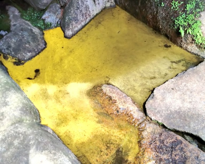 일본 후쿠시마현 모토미야시 이와츠노산(岩角山)에 있는 사찰 간카쿠지(岩角寺) 샘물에서 ‘금화수’(金花水) 현상이 나타난 모습. 엑스(@TAKA3_K_SEED) 캡처