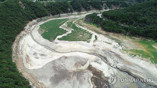 물 대신 풀만 무성한 강릉 오봉저수지 [연합뉴스 자료사진]