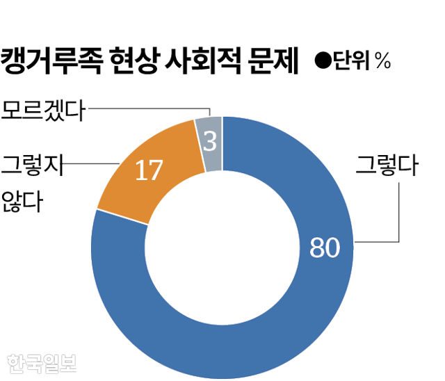시각물_한국사회에서 캥거루족 현상은 사회적 문제다 그래픽=박종범 기자