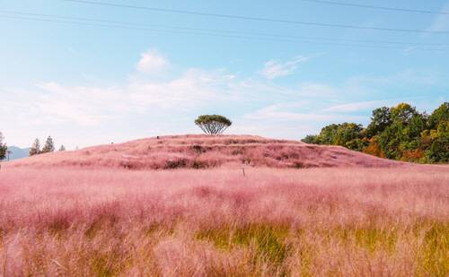 합천 신소양체육공원. 연합뉴스