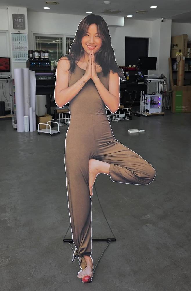 이효리 등신대. 사진|‘아난다 효리’ SNS