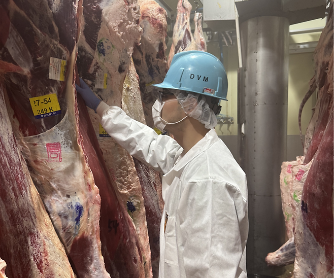 ▲ 인천시 보건환경연구원 검사관이 도축장에서 축산물을 점검하고 있다. /사진제공=인천시 보건환경연구원