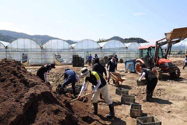 경기콘텐츠진흥원 임직원들이 지난달 12일 가평군 수해복구를 위한 자원봉사를 진행했다.