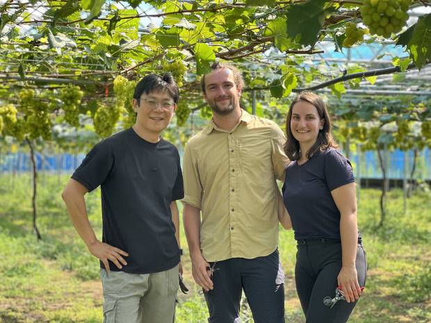 서상원 만년포도원 대표(맨 왼쪽)와 레미, 클레르가 포도밭에서 환하게 웃고 있다.