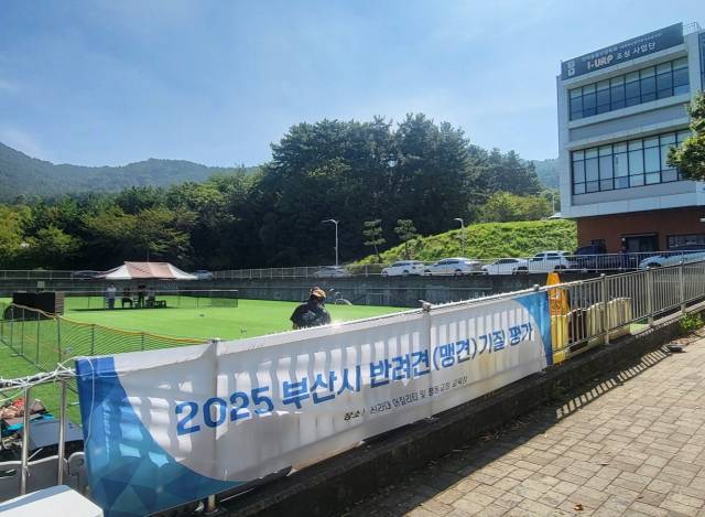 지난해 안전한 반려견 관리를 위해 맹견사육허가제가 시행됐으나 부산에서 사육 허가된 맹견은 6마리에 불과하다. 사진은 지난 6월 부산 신라대학교 행동교정 교육장에서 진행된 맹견 기질 평가 현장. 부산시 제공