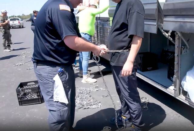 미국 이민 단속 당국이 홈페이지를 통해 지난 4일(현지시간) 조지아주 현대차그룹-LG에너지솔루션의 합작 배터리 공장 건설 현장에서 벌인 불법체류·고용 단속 현장 영상을 홈페이지에 공개했다. 연합뉴스