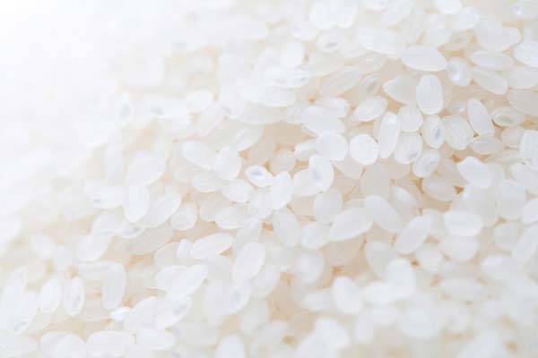 클립아트코리아