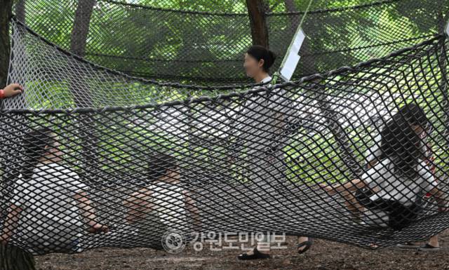 ▲ 7일 강원 춘천시 서면 유아숲체험원에서 어린이들이 즐거운 시간을 보내고 있다. 김정호 기자