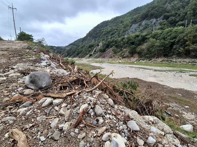 7일 강원 강릉시 주요 상수원인 오봉저수지 상류가 메말라 있다. [연합뉴스]