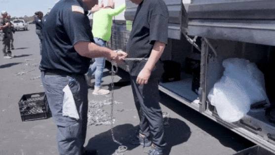 미국 이민 당국이 조지아주 현대자동차·LG에너지솔루션 배터리공장의 불법 이민자 단속 영상을 공개했다. /사진=이민세관단속국(ICE) 홈페이지 캡처