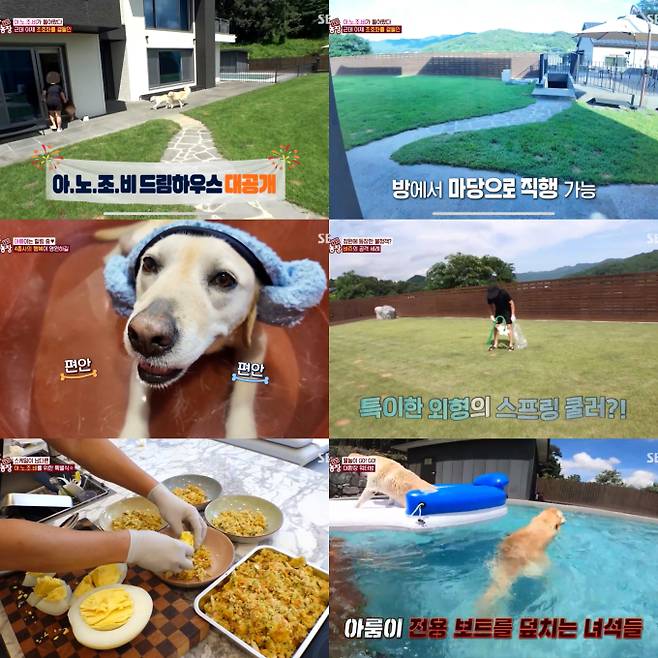 ‘TV동물농장’ 아.노.조.비 근황 최고 5.5% (제공: SBS)