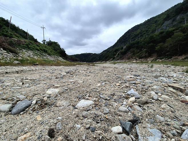 지난 7일 강원 강릉시 주요 상수원인 오봉저수지 상류가 극한 가뭄 속 바닥을 드러내고 있다. 이날 오후 5시 기준 오봉저수지 저수율은 12.6%로 전날보다 0.3%포인트 더 떨어졌다. 8일 오전 10시 기준은 12.5%로 전날보다 0.1%포인트가 더 떨어졌다./연합뉴스