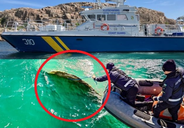 스웨덴 해안경비대 페이스북 캡처·뉴시스