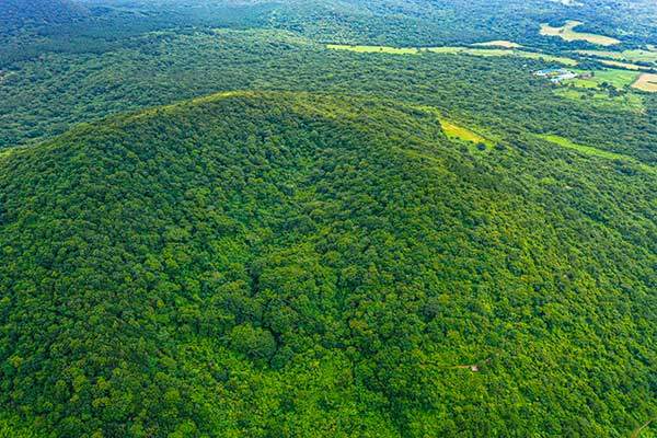 제주 4·3평화공원 상공에서 본 거친오름. 크고 깊은 굼부리 아래로 숲길 관찰로가 지난다.