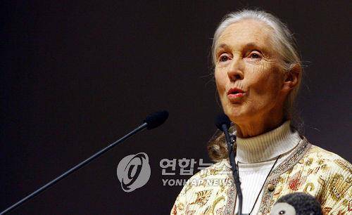 제인 구달 [연합뉴스 자료사진. 재판매 및 DB 금지]