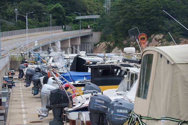 연평균 200만원의 계류요금 지불하고 보관돼 있는 요트들 [사진 = 이장원 기자]