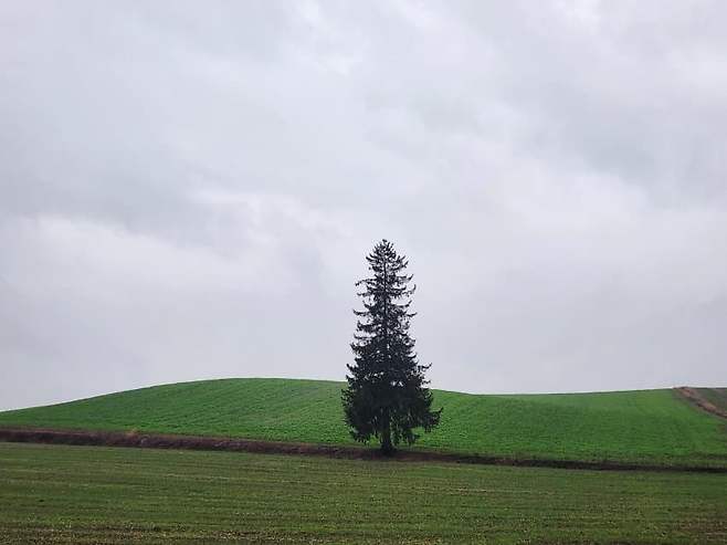 7fedf475bd876b87239df0e4439c706a00ad40c34b37071fd57c931cd954af736ea9fe8d6a125668cd179ac29a08c7748970bf5e5e