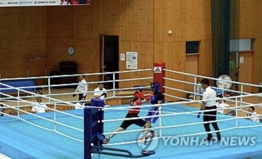 복싱 경기 사진. 기사 내용과 무관. 사진[연합뉴스]