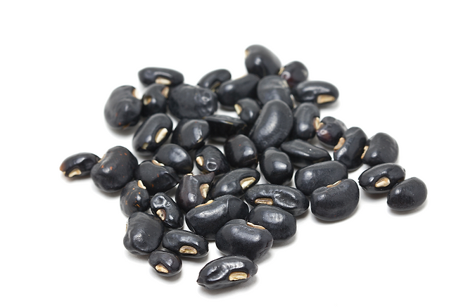 검은콩
