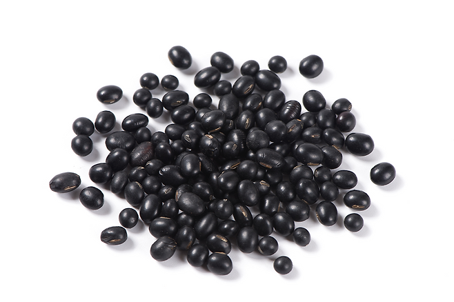 검은콩