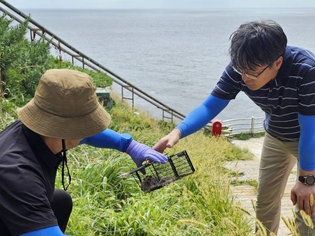 ▲ 대구지방환경청 관계자들이 지난 4일 독도에서 집쥐 포획 작업을 실시하고 있다. 대구환경청 제공