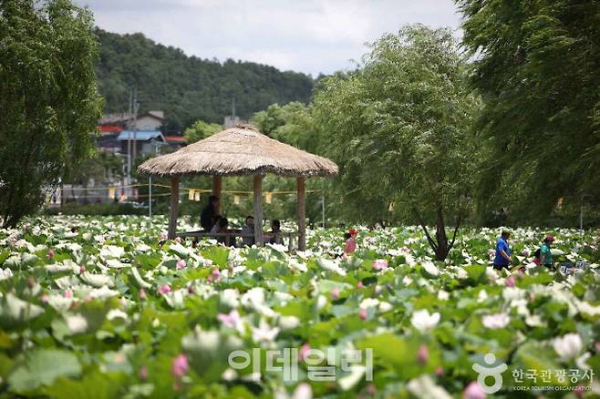 충남 부여군(사진=한국관광공사)