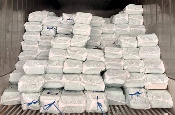 STX가 페루에서 수입한 냉동 대왕오징어.(사진=STX 제공)