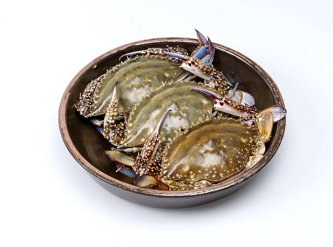 꽃게. [사진= 게티이미지뱅크]