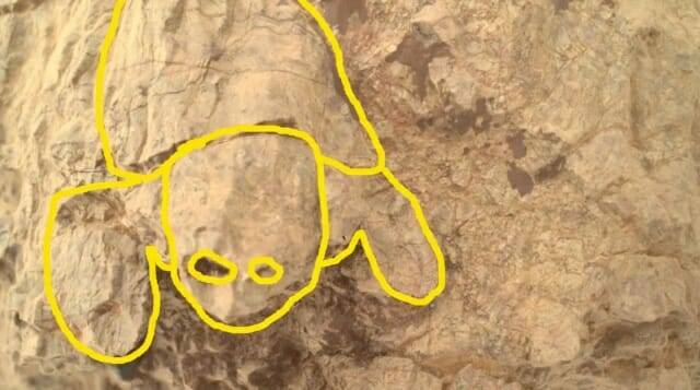 퍼시비어런스 탐사선이 화성에서 거북이를 닮은 독특한 모양의 화성 암석을 포착했다. (출처= NASA/JPL-칼텍)