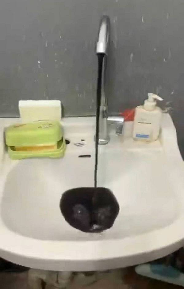 중국 선양사범대학교 한 화장실의 수도꼭지에서 검은 물이 나오고 있다./사진=Threads ‘joey213213’ 캡처