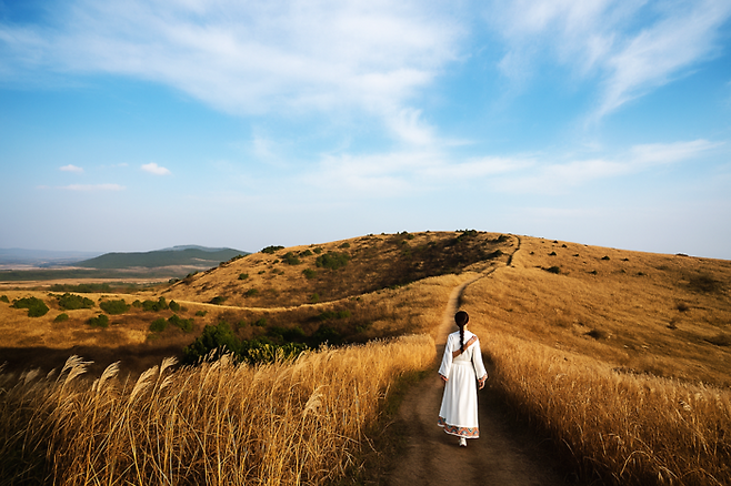 따라비억새  / 사진=제주관광공사