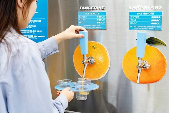 귤메달  / 사진=제주관광공사